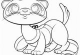 Pet Shop Coloring Pages Lps Ferret