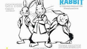 Peter Cottontail Printable Coloring Pages Peter Rabbit Printables & Giveaway