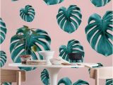 Photo Collage Wall Mural Tropical Jungle Leaf Pattern 1 Wall Mural Wallpaper Patterns
