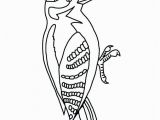 Pileated Woodpecker Coloring Page Pileated Woodpecker Coloring Page Awesome Woodpecker Coloring Page