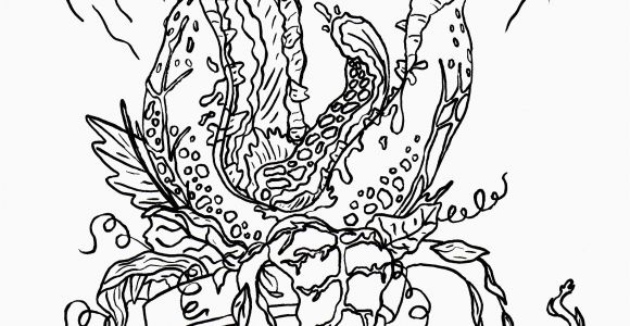 Pileated Woodpecker Coloring Page Pileated Woodpecker Coloring Page Best Easy Coloring Pages for