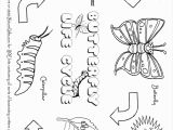 Plant Coloring Pages Science Free butterfly Coloring Pages butterfly Life Cycle