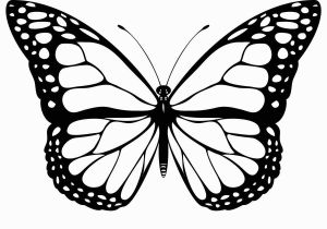 Print butterfly Coloring Pages Free Printable butterfly Coloring Pages for Kids