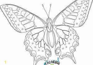 Print butterfly Coloring Pages Kids Coloring Pages butterflies 9 Printable Coloring Page