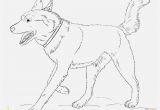 Printable Boxer Dog Coloring Pages Ausmalbild Hund Boxer Verschiedene Bilder Färben Siberian Husky Dog