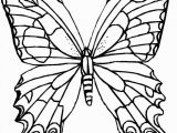 Printable butterfly Coloring Pages butterfly Coloring Page Coloring Page Free butterfly Coloring