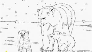 Printable Coloring Pages Of Animals Free Kids Printable Coloring Pages Printable Animals Free Kids S