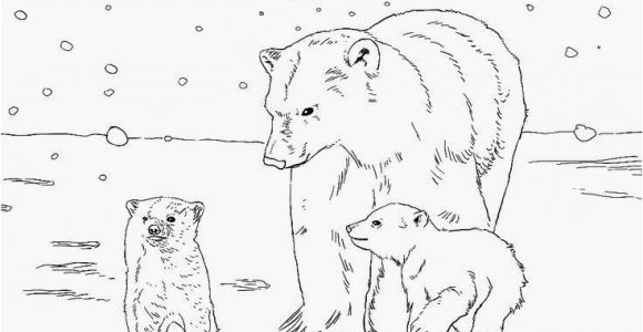 Printable Coloring Pages Of Animals Free Kids Printable Coloring Pages Printable Animals Free Kids S