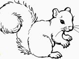 Printable Coloring Pages Of Squirrels Printable Coloring Pages Squirrels Beautiful Free Coloring Pages
