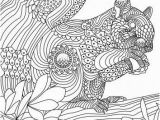 Printable Coloring Pages Of Squirrels the Best Free Adult Coloring Book Pages