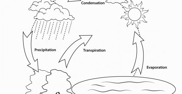 Printable Coloring Pages Of the Water Cycle Simple Water Cycle Coloring Page