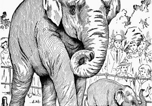 Printable Elephant Coloring Pages Elephant Coloring Pages for Adults New Elephant Coloring Page Fresh