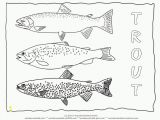 Printable Fishing Coloring Pages Freshwater Fish Coloring Pages Perfect Coloring Freshwater
