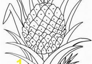 Printable Fruit Coloring Pages Coloring Pages Of Pineapple
