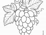 Printable Fruit Coloring Pages Grapes with Leaves Fruits and Berries Coloring Pages for