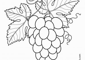 Printable Fruit Coloring Pages Grapes with Leaves Fruits and Berries Coloring Pages for