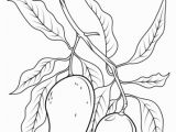 Printable Fruit Coloring Pages Mango Branch Coloring Page