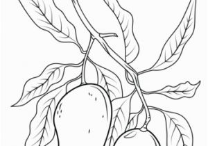 Printable Fruit Coloring Pages Mango Branch Coloring Page