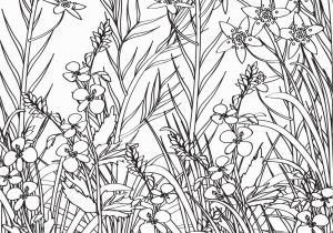 Printable Plant Coloring Pages Coloring Page Flowers and Plants for Meditation Coloring