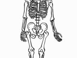 Printable Skeleton Coloring Pages Free Printable Skeleton Coloring Pages for Kids