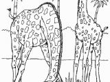 Printable Zoo Animals Coloring Pages Image Result for Realistic Animal Coloring Pages for Adults