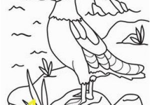Puffin Coloring Pages to Print Birds Book E