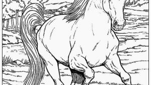 Race Horse Coloring Pages Printable Realistic Horse Coloring Pages New 7 Horse Coloring Page Fly