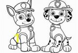 Rainbow Rangers Coloring Pages 8 Best Nick Jr Paw Patrol Images In 2020