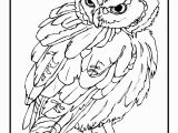 Real Baby Animal Coloring Pages Coloring Pages Animals Realistic 4