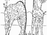 Realistic Animal Coloring Pages 18fresh Realistic Animal Coloring Pages Clip Arts & Coloring Pages