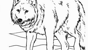 Realistic Animal Coloring Pages to Print Free Printable Realistic Animal Coloring Pages at