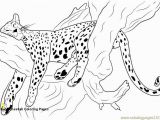 Realistic Cheetah Coloring Pages Cheetah Coloring Pages Lovely Best 12 Luxury Free Printable