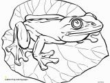Realistic Coloring Pages Realistic Frog Coloring Pages Frog Coloring Pages Fresh Frog