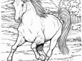 Realistic Horse Coloring Pages for Adults Free Realistic Wild Horse Coloring Pages to Print