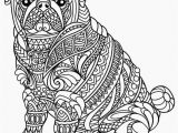 Realistic Lion Coloring Pages Awesome Coloring Pages Lion for Girls Picolour