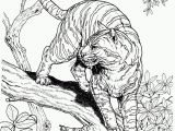 Realistic Lion Coloring Pages New Coloring Pages Realistic Dog to Print and Color Free