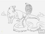 Realistic Printable Animal Coloring Pages Printable Animal Coloring Book Pages Fresh Coloring Book and Pages