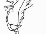 Road Runner Coloring Page 477 Best Color Me Images
