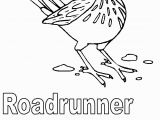 Road Runner Coloring Page Free State Symbols Coloring Pages Download Free Clip Art