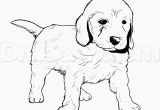 Rottweiler Puppies Coloring Pages Big Rottweiler Puppies Coloring Pages Free Goldendoodle Color