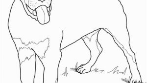 Rottweiler Puppies Coloring Pages Rottweiler Puppy Coloring Page