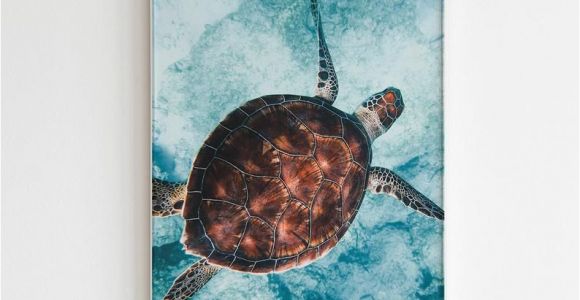 Sea Turtle Wall Mural Turtle Print Turtle Wall Art Ocean Print Oacen Wall Art