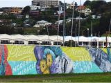 Sea Walls Murals for Oceans Napier Street Art