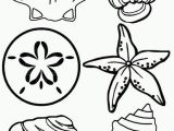 Shell Coloring Pages Shell Coloring Pages Unique 22 Luxury Shell Coloring Pages Ideas