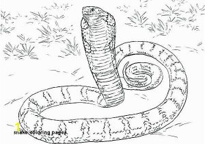 Snakes Coloring Pages Snake Coloring Pages Beautiful Snake Coloring Pages New Cool