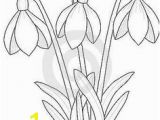 Snowdrop Coloring Pages 143 Best Watercolor Painting Images On Pinterest In 2018