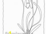 Snowdrop Coloring Pages 190 Best Snowdrop Flower Art Ill Images On Pinterest