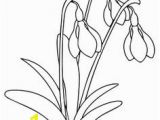 Snowdrop Coloring Pages 272 Best Coloring Pages Images