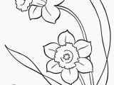 Snowdrop Coloring Pages Line Drawings Of Snowdrops Google Search
