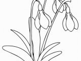 Snowdrop Coloring Pages Pin by DÅej On Jaro Velikonoce Pinterest